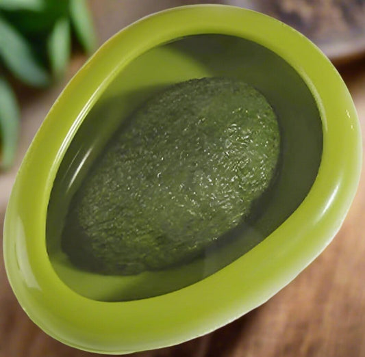 Boite de Conservation Alimentaire - SnapWrap™ - Avocat - Sans Pagaille
